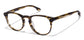 John Jacobs Tortoise Eyeglasses 115408 - Lenskart