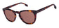 Sunglasses Image