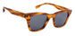 Sunglasses Image