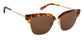 Sunglasses Image