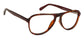 Glasses Image