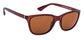 Sunglasses Image