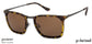 Sunglasses Image