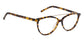 Glasses Image