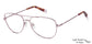 Glasses Image