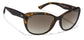 Sunglasses Image