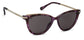 Sunglasses Image