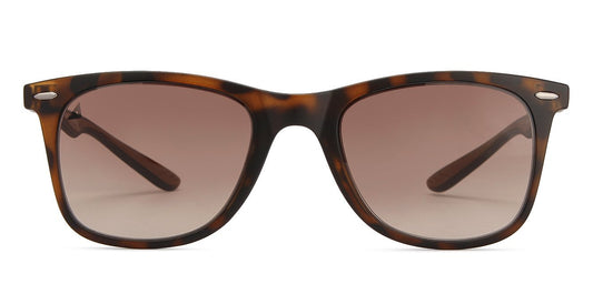 Sunglasses Image