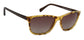 Sunglasses Image