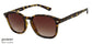 Sunglasses Image