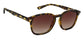 Sunglasses Image